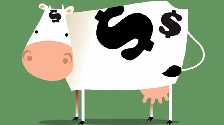 The Best Cash Cows to Buy for Steady Returns